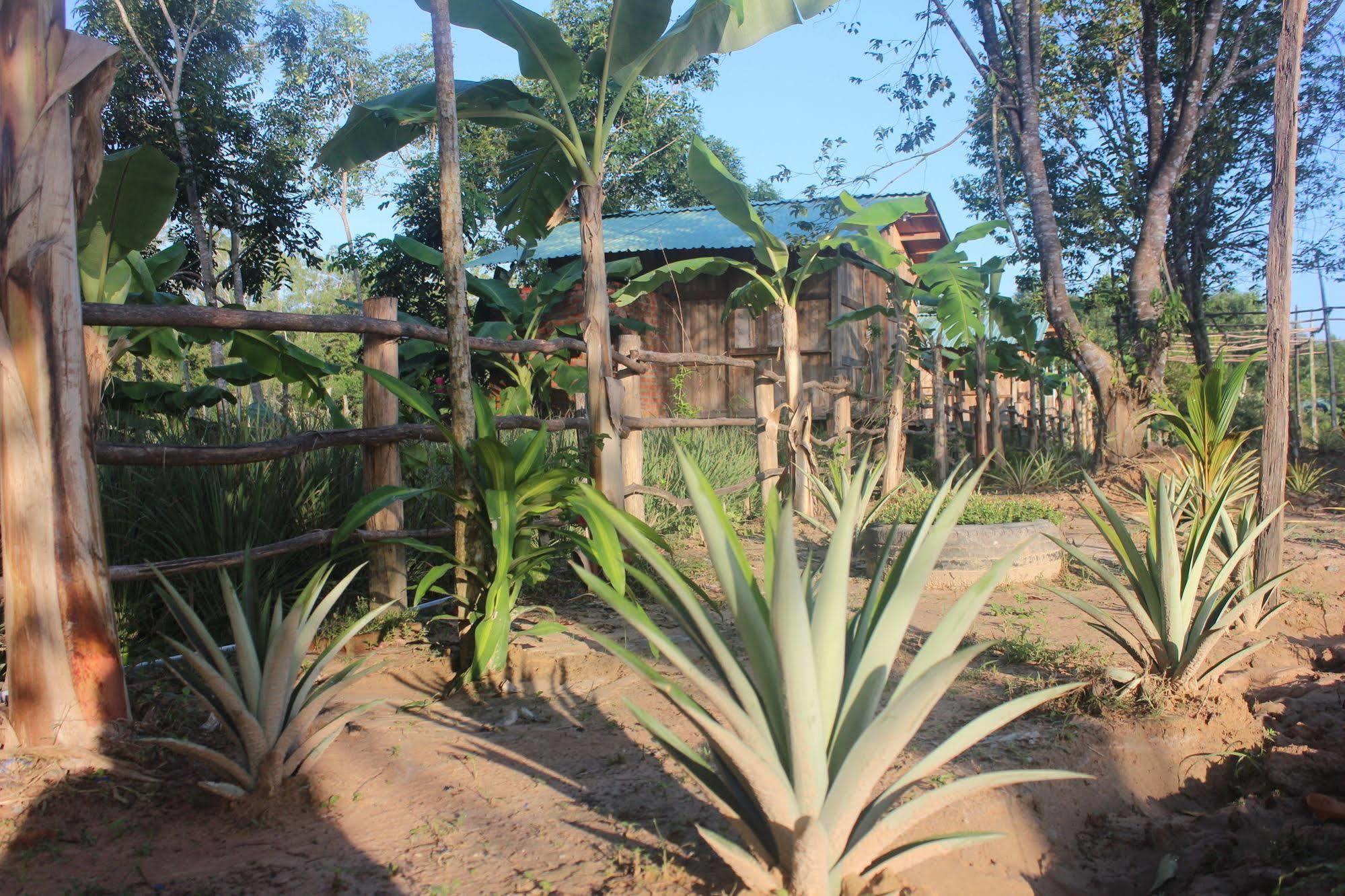 Pepper Farm Phu Quoc Hotel Exterior photo