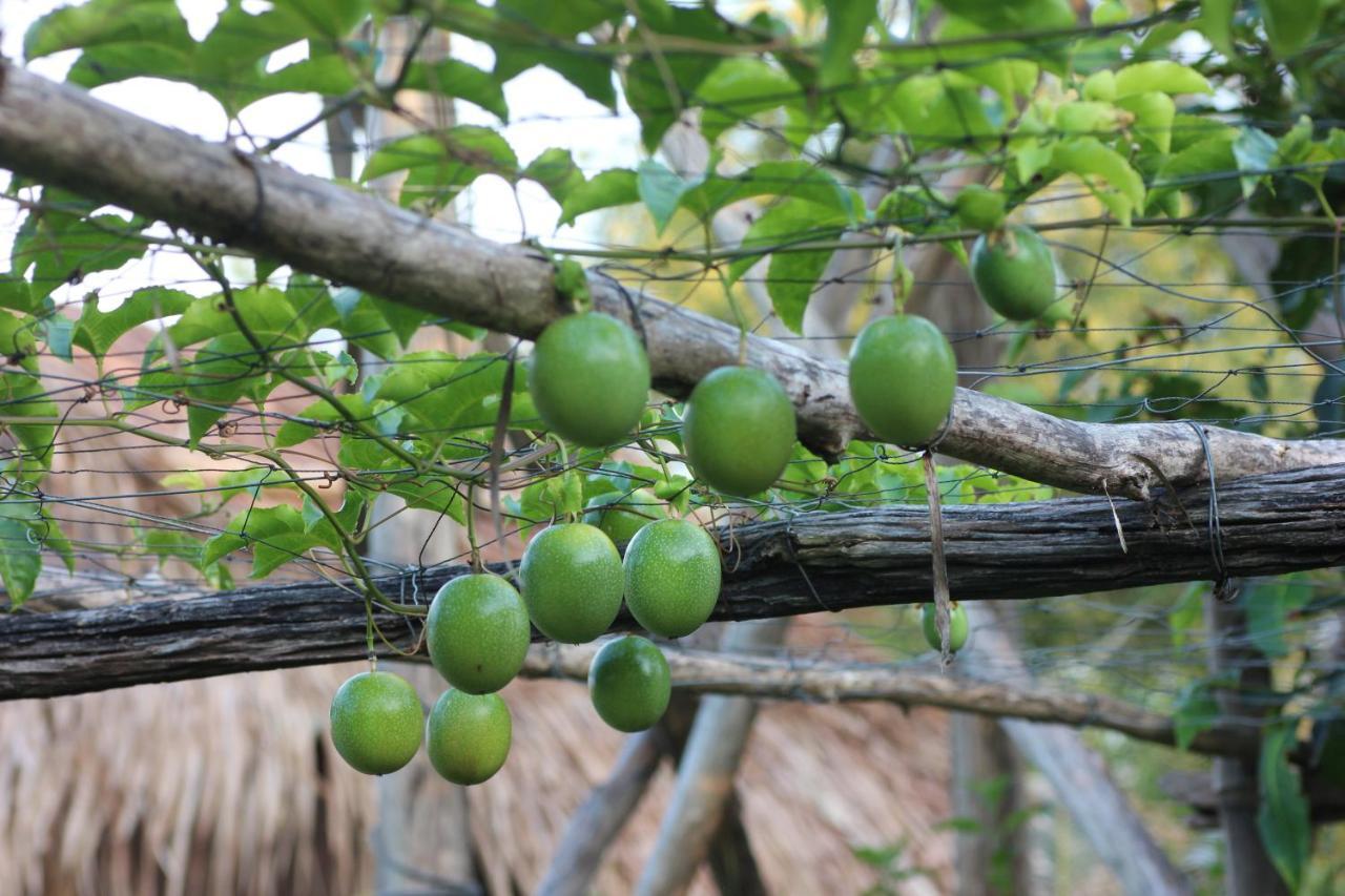 Pepper Farm Phu Quoc Hotel Exterior photo